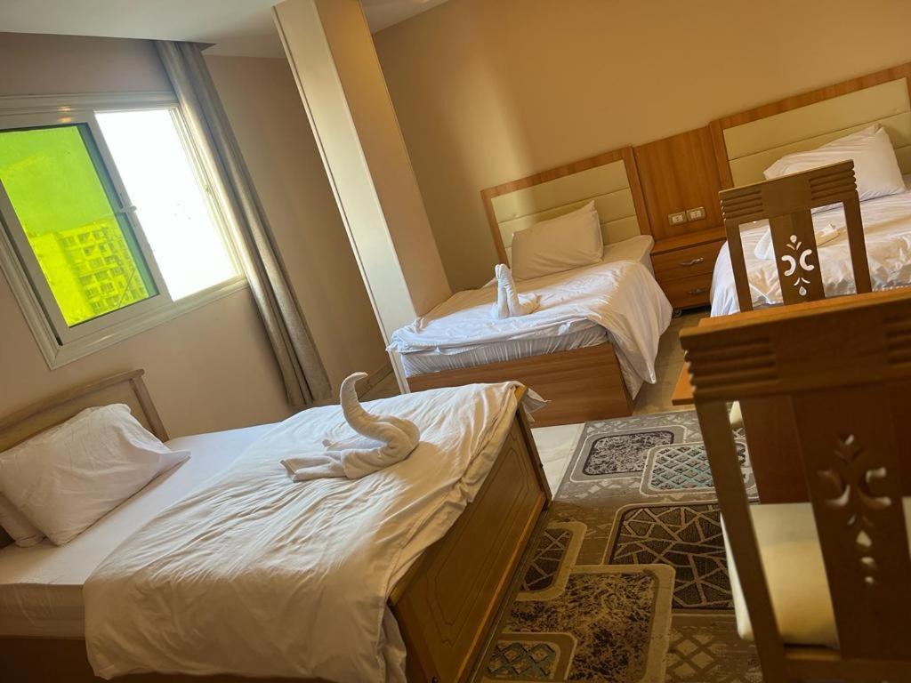 Grand Pyramids View Hotel Κάιρο Εξωτερικό φωτογραφία